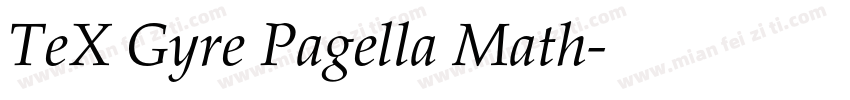 TeX Gyre Pagella Math字体转换